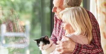 Dotace na solární ohřev vody a solární kolektory